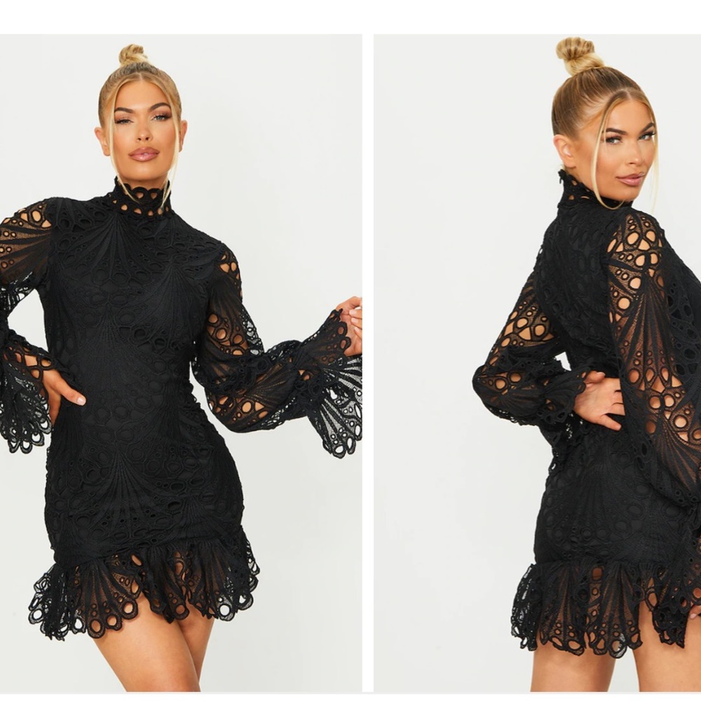 Black High Neck Lace Long Sleeve Frill Bodycon Dress